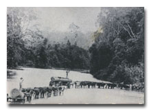 Bullock Teams crossing the river at Mullumbimby 1880's